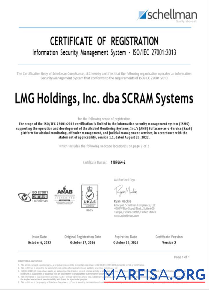 Realistic USA LMG certificate of registration Word and PDF template